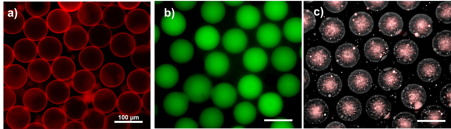 Double emulsion encapsulation efficiency