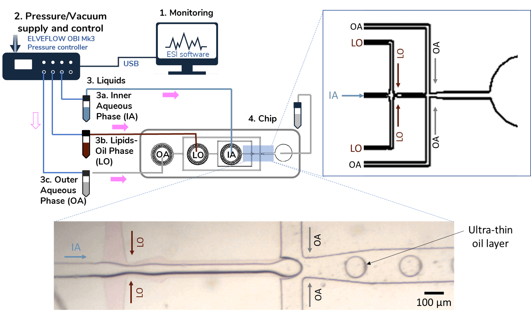 Double emulsion microfluidic setup