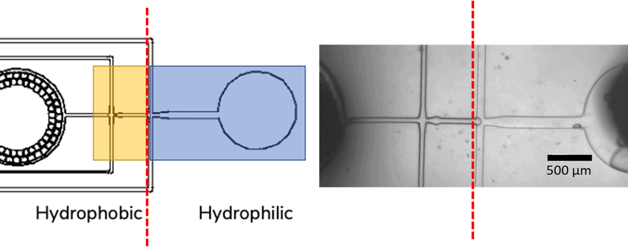 Double emulsion surface coating