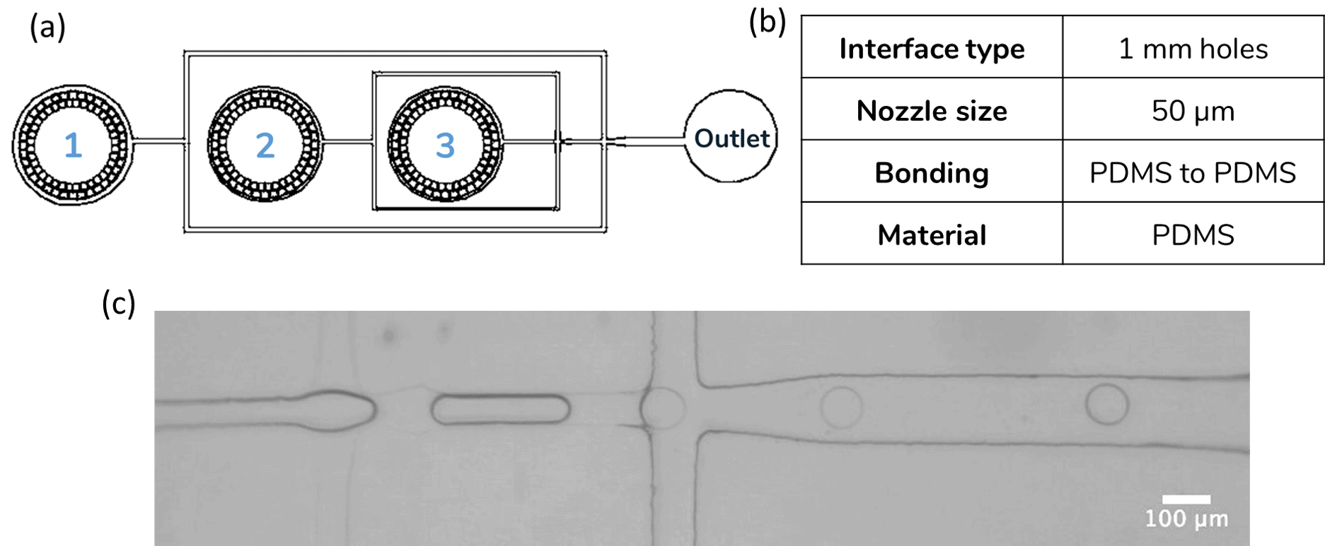 Overview of the Petit et al. microfluidic chip design for double emulsion
