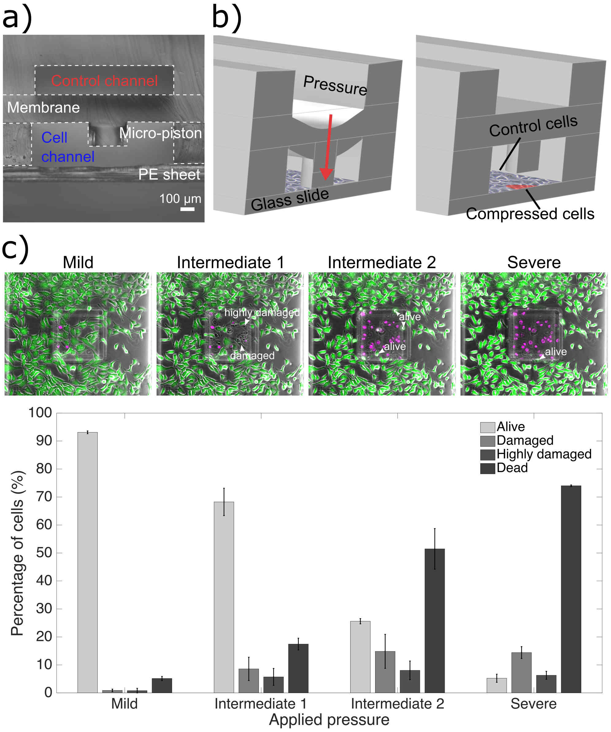 cell-compression-using-microfluidics-2