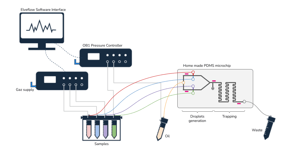 Schematics complex networks 2