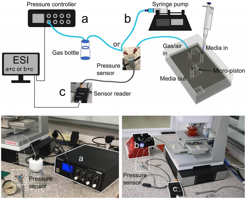 cell-compression-flexible-microdevice