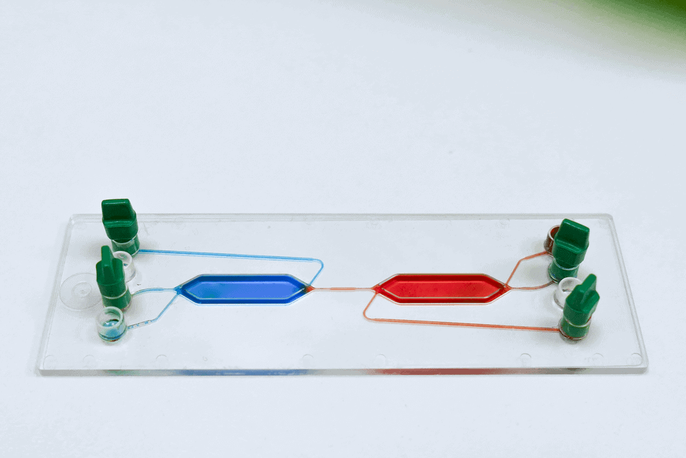 Microfluidic minimalist organ-in-a-chip