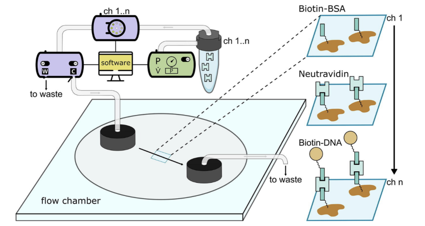 Schematic of the pressure-controlled microfluidics for automated single-molecule sample preparation