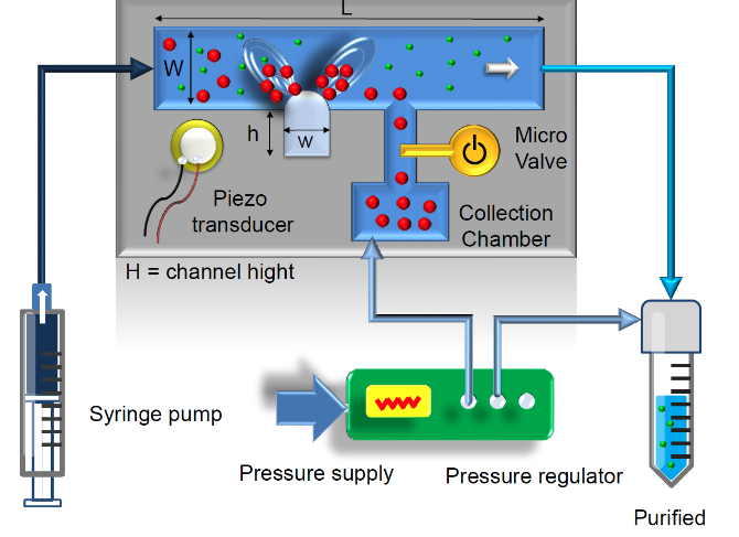 Microfluidic setup with precise flow rate and pressure control ensuring stable conditions. It enables automated size-selective particle removal.